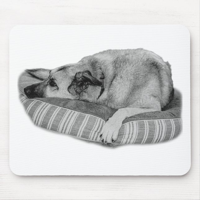 Mousepad Zen Desk, Almofada para Cão Lounge (Frente)