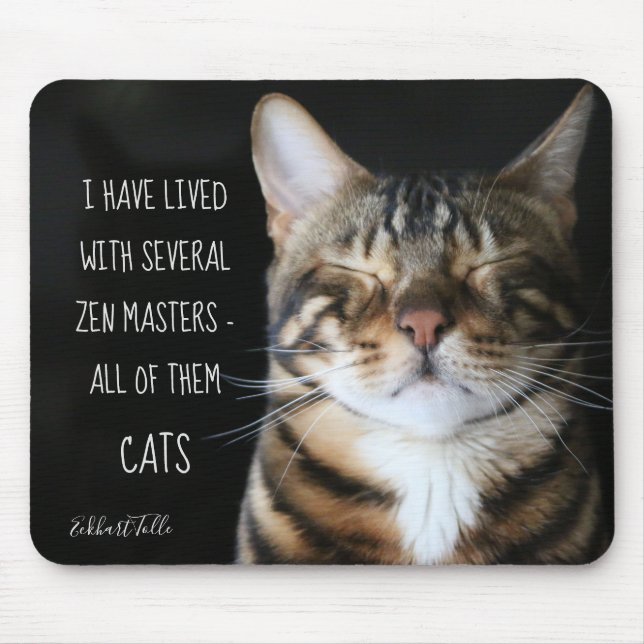 Mousepad Zen Master/ Funny Cote / Cat Photo (Frente)