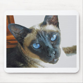 Mousepad ZenaLrg_7_20_05_edited-1