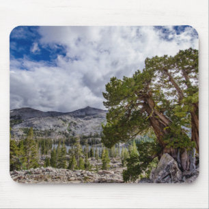Mousepad Zimbro de Sierra e Árvores Sempre-Verdes