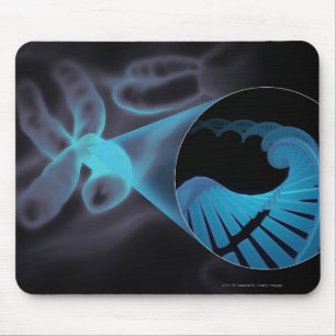 Mousepad Zumba dentro de uma costa do ADN em um cromossoma