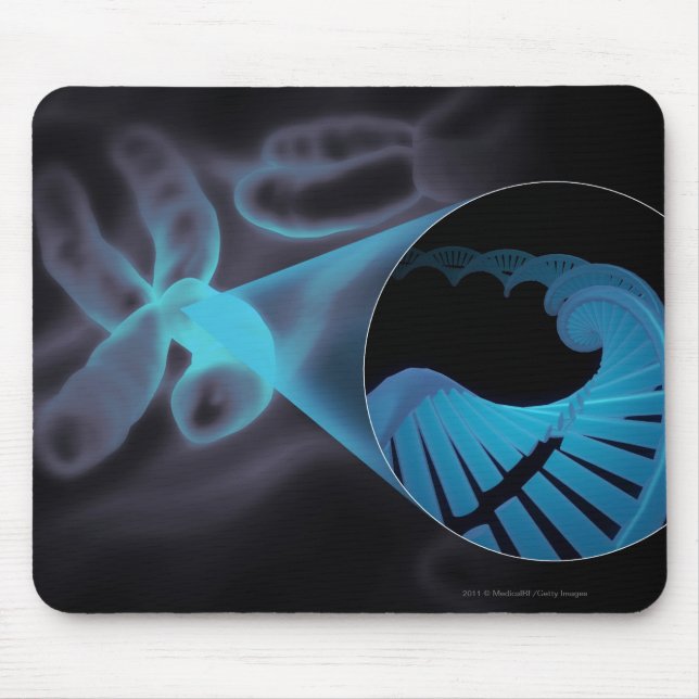 Mousepad Zumba dentro de uma costa do ADN em um cromossoma (Frente)