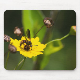 Mousepad Zumbido