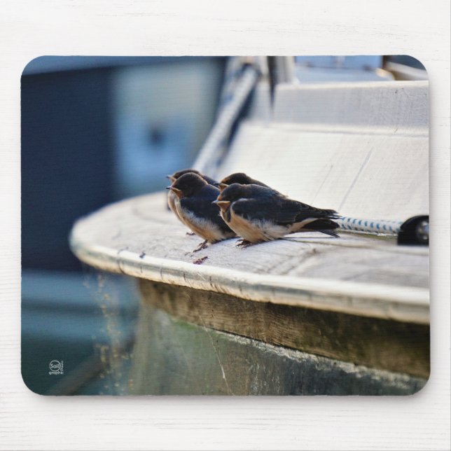 Mousepad Zwaluw vogeltjes die op een lijn zitten in de have (Frente)