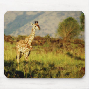 Mousepads dos animais selvagens do girafa do bebê