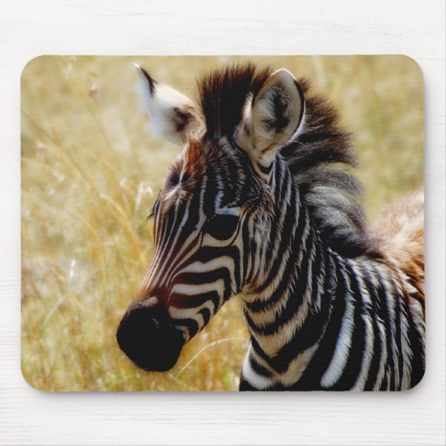 Mousepads dos animais selvagens do potro da zebra (Frente)