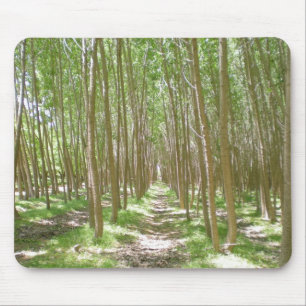 Mousepads natural