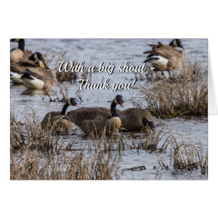 Movendo no Cartões de agradecimentos