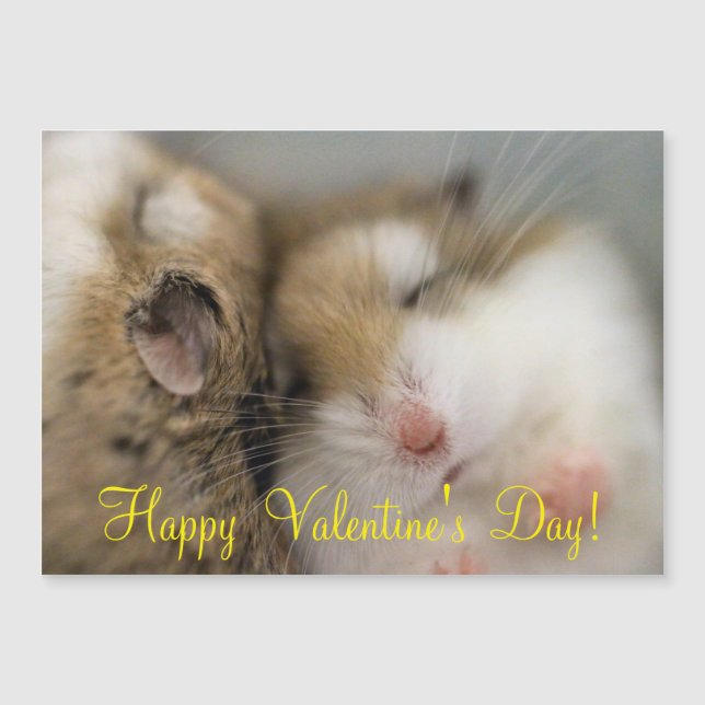 Mover para o Bob (Frente)