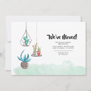 Movimentamos Boho Plantas Novo Anúncio Doméstico