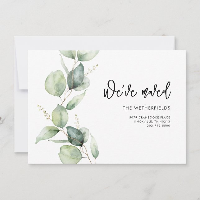 Movimentamos o lançamento do Eucalyptus em movimen (Frente)