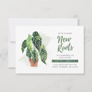 Movimentamos o lançamento do New Roots Boho Moving