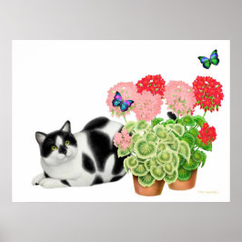 Moxie Cat e o Impressão das Borboletas
