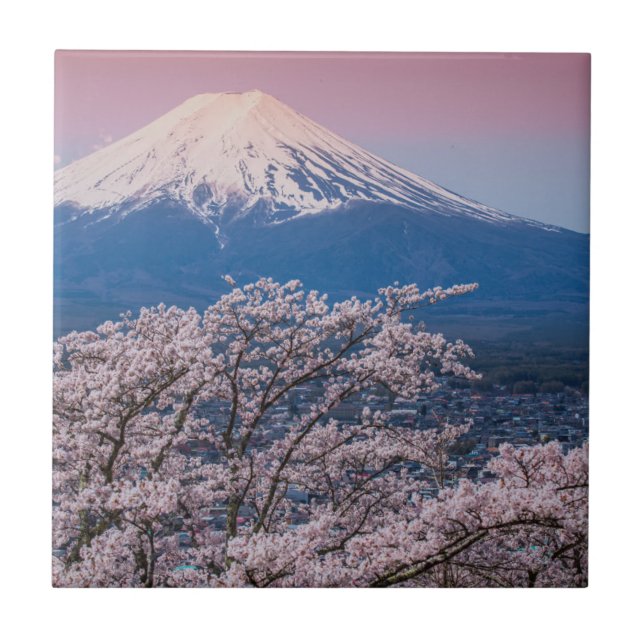 Mt Fuji e flores de cerejeira (Frente)