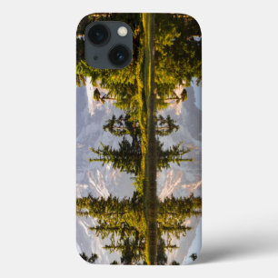 Mt. Rainier refletido em uma chuva perto do Pico d