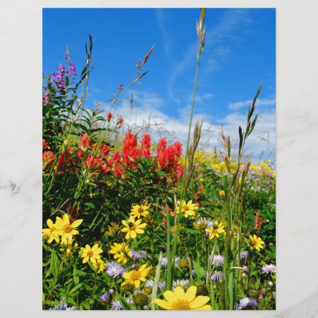 Mt. Wildflower (Frente)