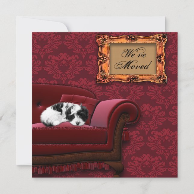 Mudança de Sofá de Puppy de Cartões Postais de End (Frente)
