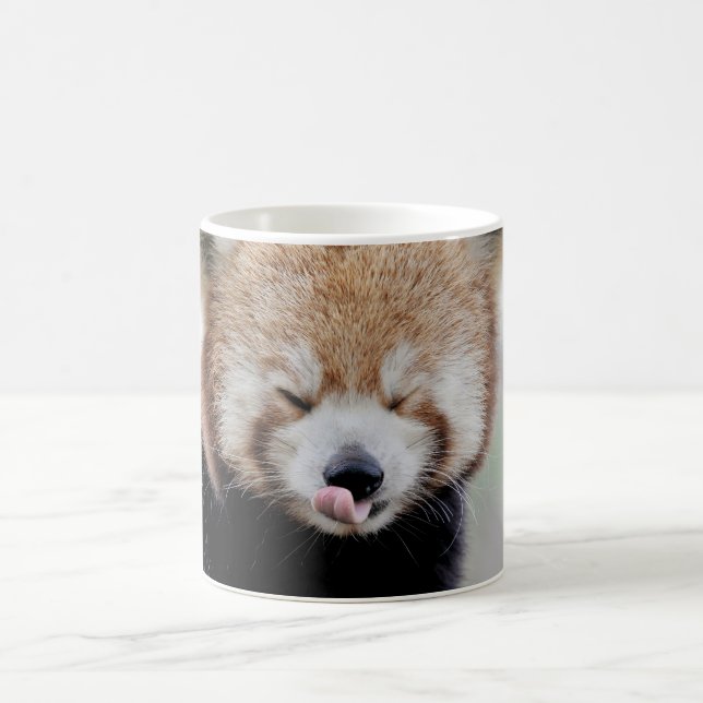 Mug Photo Red Panda, animais. caneca de café (Centro)
