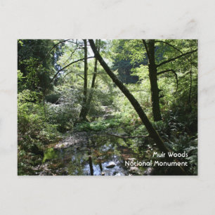 Muir Woods, cartão postal
