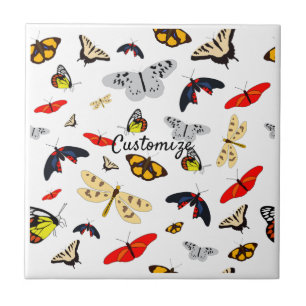 Muitas criaturas aladas Thunder_Cove