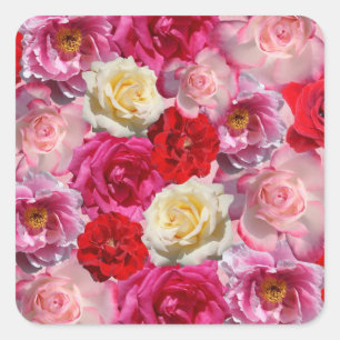 muitas etiquetas dos rosas