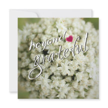 Muito Obrigado, Cartões