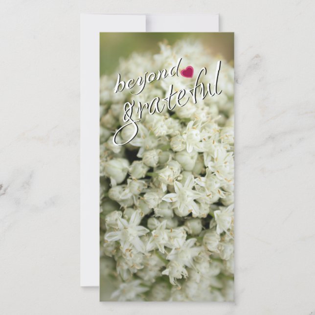 Muito Obrigado, Cartões De Muito Alto (Frente)