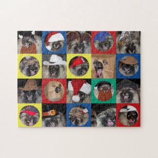 Muitos chapéus do quebra-cabeça do Keeshond de