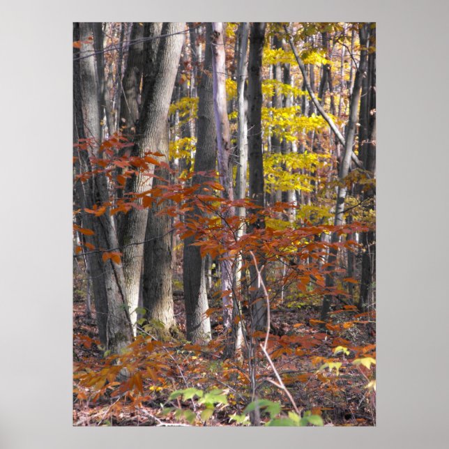 Muitos trunfos Poster (Frente)