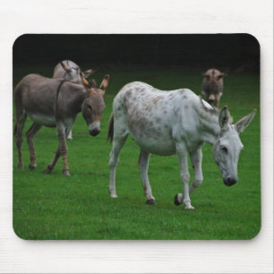 Mulas e asnos Mousepad