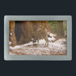 Mule Deer<br><div class="desc">Impressões e presentes de Mule Deer apresentam uma bela fotografia da natureza tirada por Kurt Keller com uma câmera digital de 35 mm enquanto estava em uma excursão fotográfica no Parque Nacional Sequoia. A Mule Deer olha de um lanche na neve recentemente caída em maio na base de uma gigante...</div>
