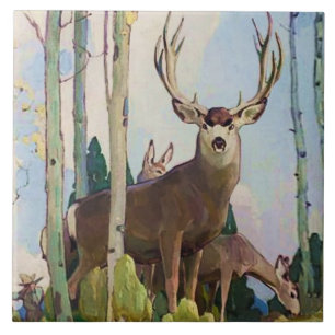 “Mule Deer Buck e Doe” por W Herbert Dunton