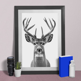 Mule Deer Desert Animal Retrato Poster