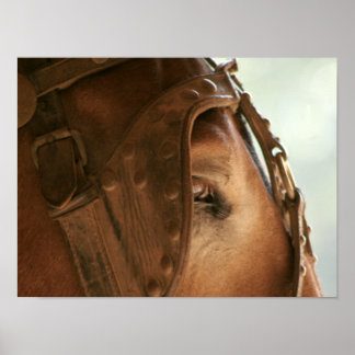 Mule Vermelho - Poster de Olho