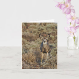 Muley no Sage - Cartão de Nota 4" x 5.6"