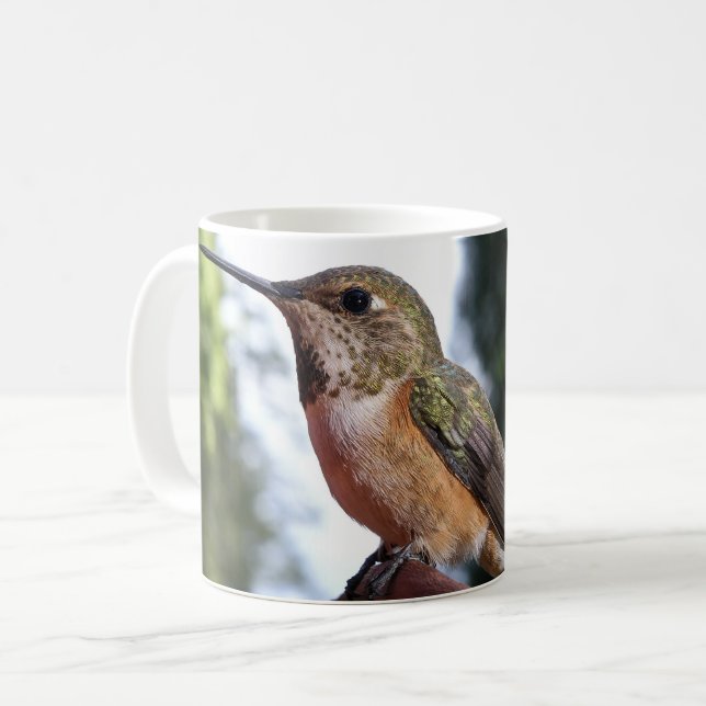 Mulher Rufous Hummingbird - Canecas (Frente Esquerda)