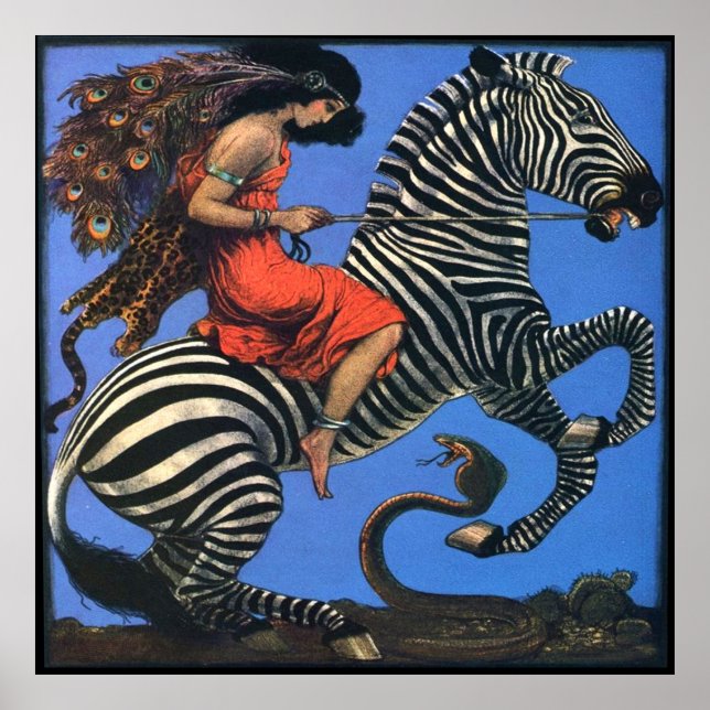 Mulher Selvagem Dirige Poster Zebra (Frente)