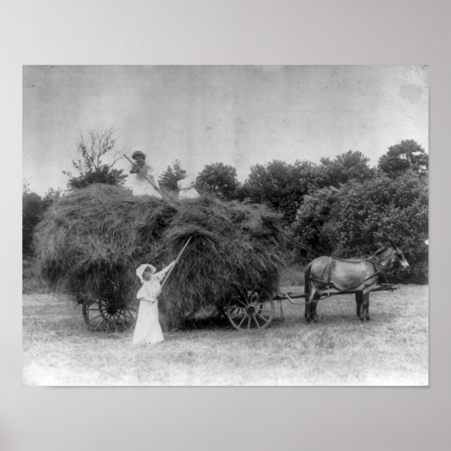 Mulheres agricultoras Poster (Frente)