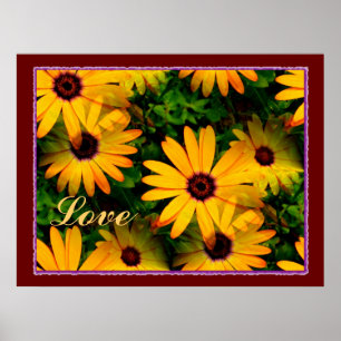 Multi poster floral do amor