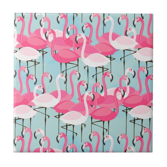 Multidão cor-de-rosa e branca de flamingos (Frente)