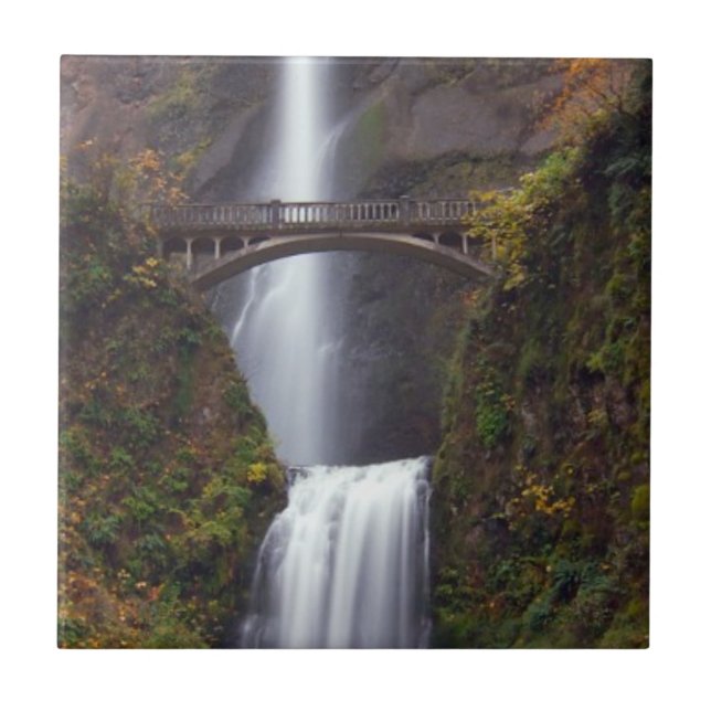 Multnomah cai no outono atrasado (Frente)