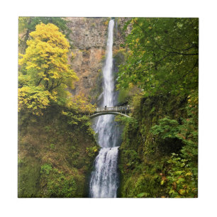 Multnomah Falls, Columbia River Gorge, Oregon