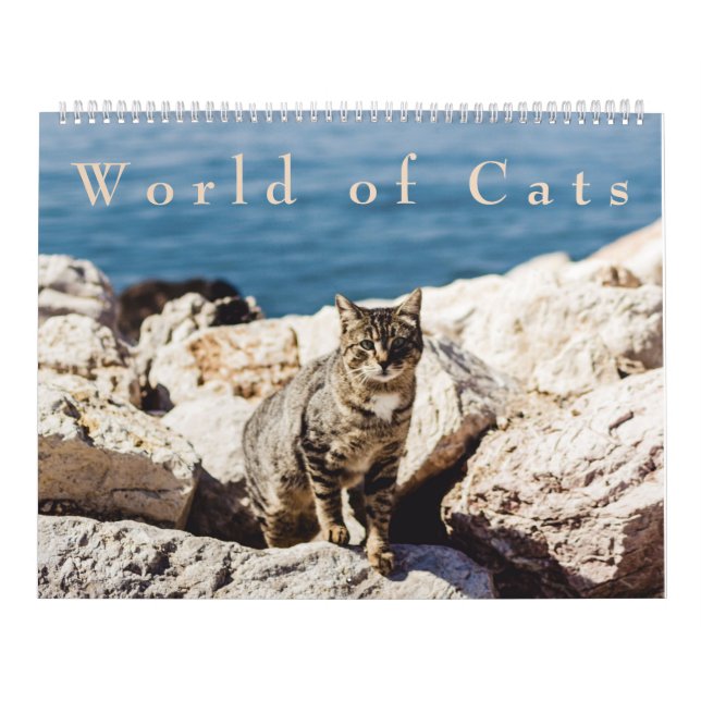 Mundo do calendário dos gatos (Capa)