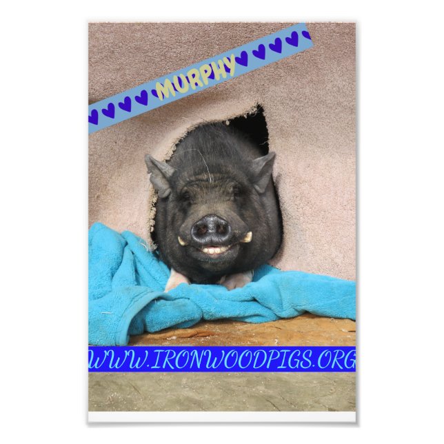 Murphy com seu impressão de foto azul-cobertor (Frente)