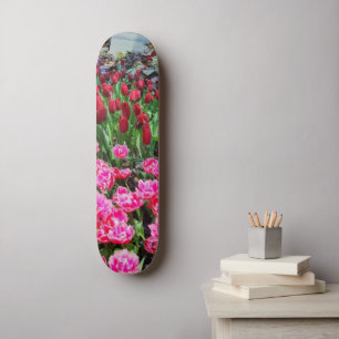 Murugi Sports & Outdoor 8, 1/4 pol, skateboard Dec