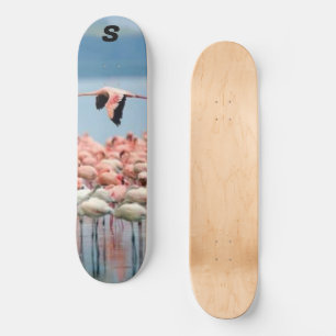 Murygi Sports & Outdoor 8, 1/4 pol, skateboard Dec