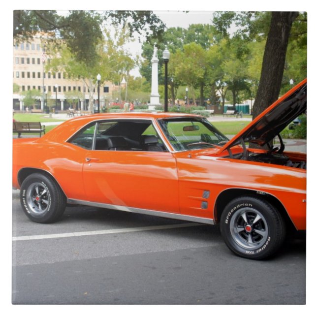 Músculo alaranjado (Frente)