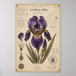 Museu Botânico Vitoriano Astral Iris Impressão