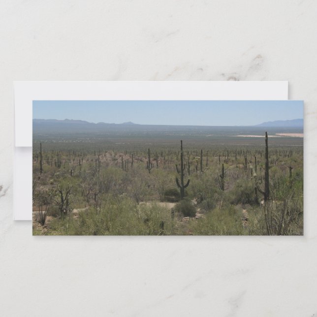 Museu do Deserto Sonora (Frente)