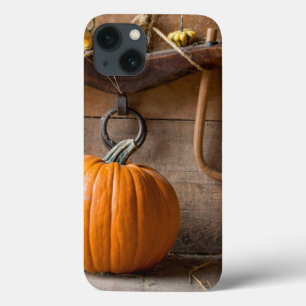 Museu dos Agricultores. Pumpkin em celeiro com far